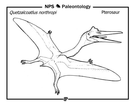 Pterosaur (Quetzalcoatlus Northropi) Coloring Page